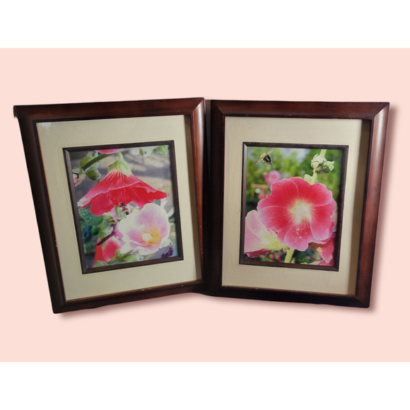 Framed Print Bumble Bee & Pink Hibiscus Flower 13" x 16" Matted Glass - Picture 1 of 9